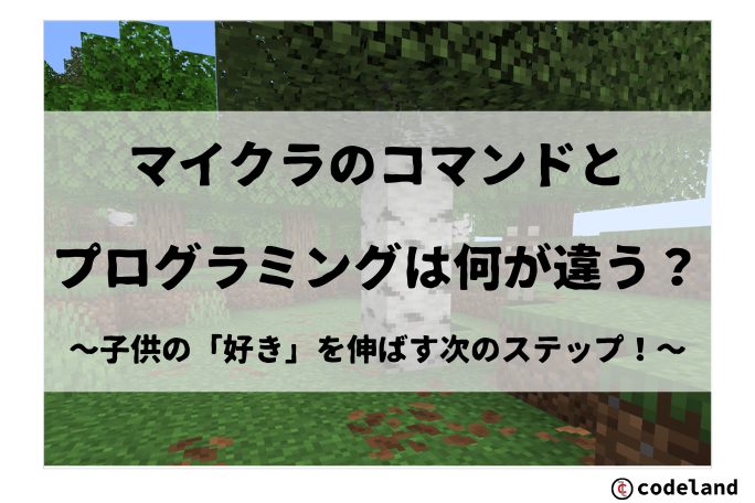 マイクラのコマンド好きは才能あり！プログラミングへスキルを伸ばす